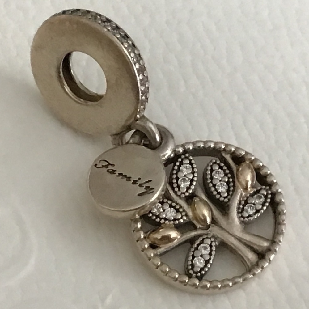 Pandora two tone charm Family tree